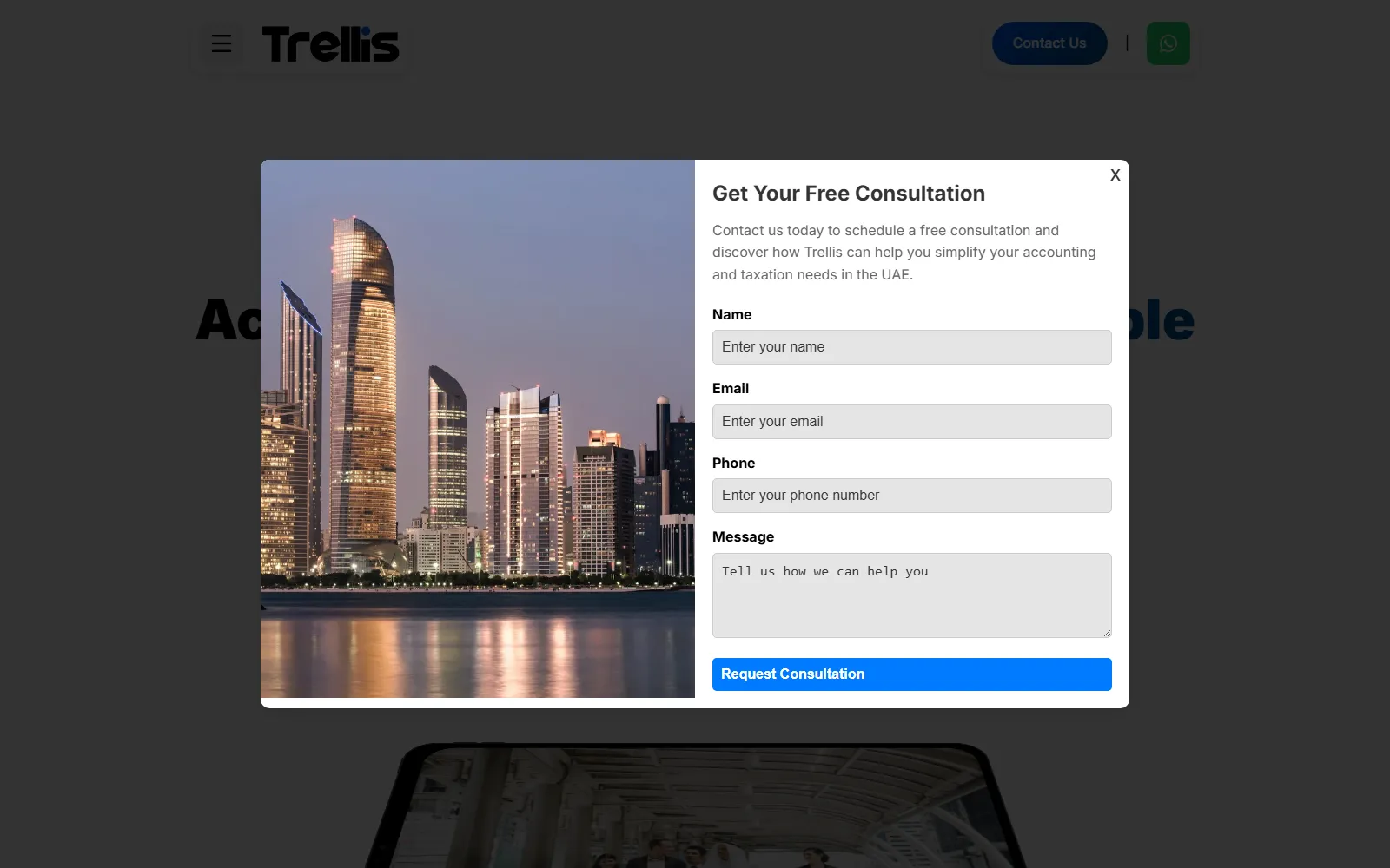 Trellis Global corporate consulting website — built by Kode studio